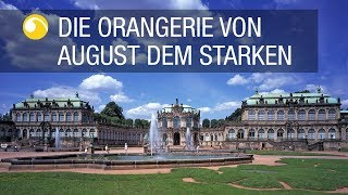 Dresdner Zwinger  Gärten in Sachsen  Schlösserland Sachsen [upl. by Ley597]