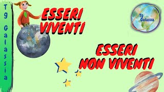 ESSERI VIVENTI E NON VIVENTI  Scienze Naturali per bambini [upl. by Ahsilla]