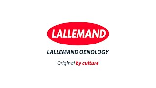 Lallemand Oenology Corporate Video  Spanish [upl. by Nessa620]