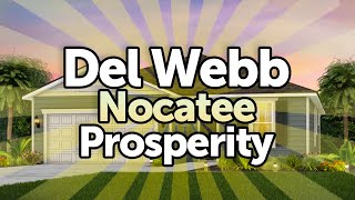 Del Webb Nocatee  Prosperity Floor Plan [upl. by Garlan240]