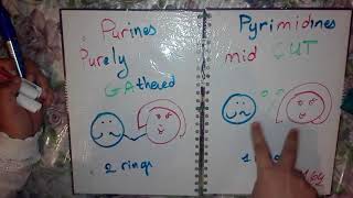 Purines Pyrimidines Mnemonic [upl. by Arlena]