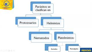 Clase 45 Generalidades de parásitos [upl. by Efal]