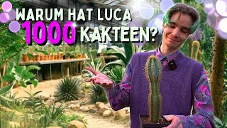 Kakteen Garten mit Anzucht Pflege und Sammelleidenschaft 😱 Wieso hat er über 1000 Kakteen [upl. by Bauske]