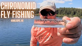 Chironomid Fly Fishing Brookies and Bows [upl. by Schaumberger]