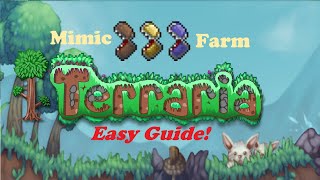 Terraria  Mimic Farm  A Beginners Guide to Easy Efficient AFK Mimic amp Platinum coin farming [upl. by Ttimme324]