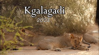 Kgalagadi Roadtrip 2023 [upl. by Lanita]