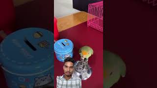 🦜Vary smart parrot show😁😁 parrotshow viral trendingshorts youtubeshorts [upl. by Ammadas275]