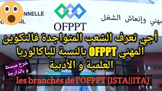 أجي تعرف الشعب المتواجدة في التكوين المهني بالنسبة لمستوى تقني وتقني متخصص  Les Branches OFPPT [upl. by Slaughter398]