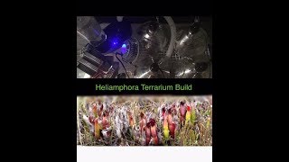 How to build a Heliamphora Terrarium And How to Install a Peltier Cooler [upl. by Nahpos]