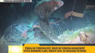 More damage found at Tubbataha Reef [upl. by Slifka]