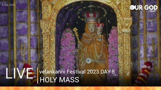 🔴 LIVE  Holy Mass in Tamil  01 August 2024  Annai Vailankanni Shrine  Besant Nagar Annai [upl. by Leahcimal]