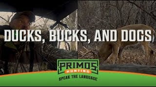 Ducks Bucks amp Dogs  Mississippi Duck amp Deer Hunting  Primos Truth About Hunting Season 18 [upl. by Moreland297]