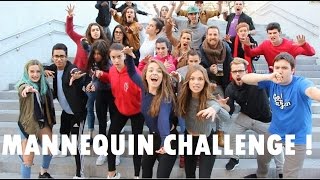 BEST MANNEQUIN CHALLENGE IN PUBLIC   MannequinChallenge [upl. by Turpin220]