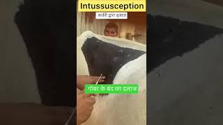 Intussusception l impaction of rumen l dr umar khan [upl. by Akinek]