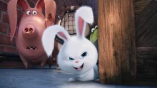 The Secret Life of Pets Dive for Surprises [upl. by Leihcim764]