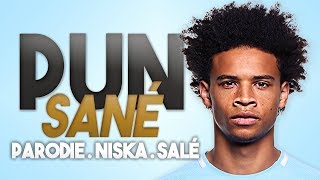 NISKA  SANÉ PARODIE DE SALÉ [upl. by Evans40]