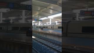 High speed bullet train japanrailway chinarailway shortvideo [upl. by Annoyi]