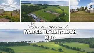 Ny ledig plats på Maple rock ranch i Hjo [upl. by Giguere]