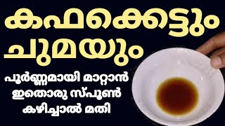 ചുമയും കഫക്കെട്ടും പൂർണ്ണമായും മാറാൻ ഒറ്റമൂലി  Home Remedy For Cough  Chuma Maran Malayalam [upl. by Normac44]