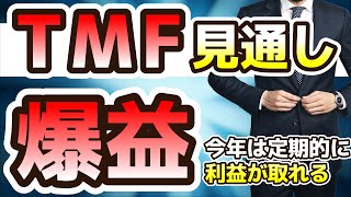 TMF見通し解説 24年は定期的に爆益を狙える [upl. by Barcus]