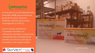 Cimalgex de Laboratorios Vetoquinol  Tayvet Distribuidora Veterinaria [upl. by Mayrim]