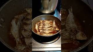 Dried fish frying asmrsounds satisfying highlights shorts short youtubeshorts [upl. by Zere]