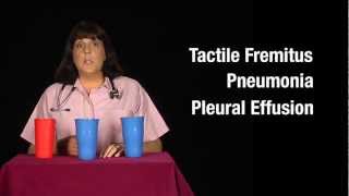 Tactile Fremitus Cups Demonstration [upl. by Nagear]