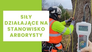 Siły działające na stanowisko arborysty [upl. by Aiuqet]