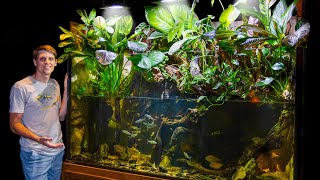 The Truth About My 350 Gallon Jungle Paludarium 1 Year Later [upl. by Nehemiah]