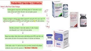 Vincristine amp Vinblastine Part 02  Industrial Production Estimation amp Utilization Part 18 [upl. by Aicital304]