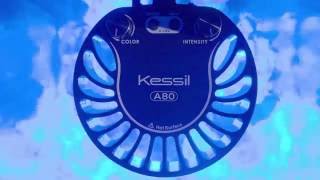 A80 Nano Aquarium Light from Kessil [upl. by Gere]