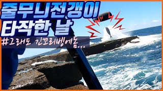 4K 전갱이만 올라오냐 호주낚시 찌낚시 바다낚시 갯바위낚시 참돔 감성돔 뱅에돔 벵에돔 전갱이 초보낚시 [upl. by Ennayar]