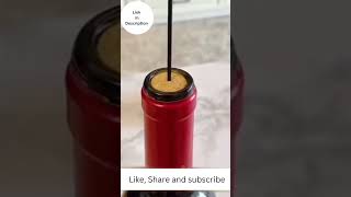 Creative Finds  Amazon Finds  Uncorking Wine Bottles With Air Pressure [upl. by Oflodor]