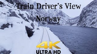 TRAIN DRIVERS VIEW Bergen  Myrdal on a windy Saturday in 4K UltraHD [upl. by Amian]