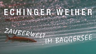 Tauchen im Echinger Weiher – Zauberwelt im Baggersee [upl. by Lanna514]