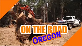 On the Road  Harvesting a large Madrone Burl in Merlin Oregon [upl. by Jadda]