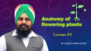 Anatomy of Flowering plants Lecture 3 [upl. by Ahmed126]