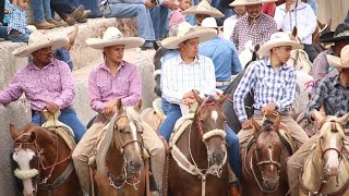 COLEADEROS ZACATECANOS EN LO DE LUNA JEREZ ZACATECAS MEXICO [upl. by Aseral]