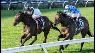 2024 Makybe Diva Stakes  Mr Brightside amp Pride Of Jenni THRILLER [upl. by Enelrak]