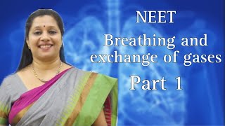 NEET Breathing and Exchange of Gases Part 1 [upl. by Ahsened281]