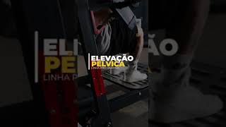 Elevação Pélvica  Linha Pro Hammer  Proaction Fitness [upl. by Pickard]