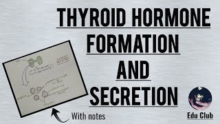 Formation and secretion of Thyroglobulin and Thyroid Hormones [upl. by Jesus]