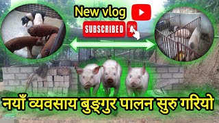 Bunger Farm Suru Gareyo🤟🤟 jrd sabin vlog [upl. by Enitsirc]