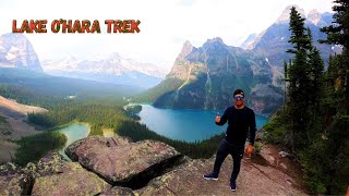 LAKE OHARA  The Most Famous Hike in Canada [upl. by Netfa]