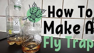 How To Make A Fly Trap With Honey [upl. by Kostman]