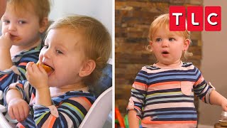 Quint Chaos Top Moments  OutDaughtered  TLC [upl. by Eirffej]