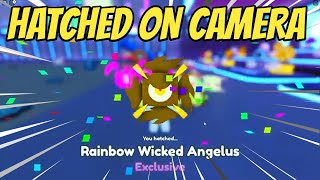 Pet Simulator X Hatching New Secret Exclusive WICKED ANGELUS Normal Golden and Rainbow [upl. by Hcahsem217]