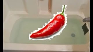 Dont use cayenne pepper in the bath if you dont want to [upl. by Artenek133]