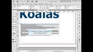 Ajustement automatique de la hauteur dun bloc texte dans Indesign [upl. by Thaddaus]