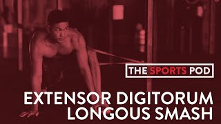 SP  SMASH  EXTENSOR DIGITORUM LONGUS [upl. by Enilehcim197]